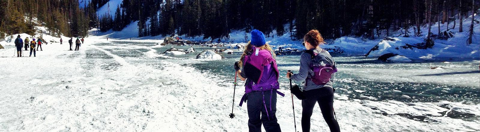 Cross Country Skiing